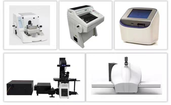 2025新澳门开门原料免费