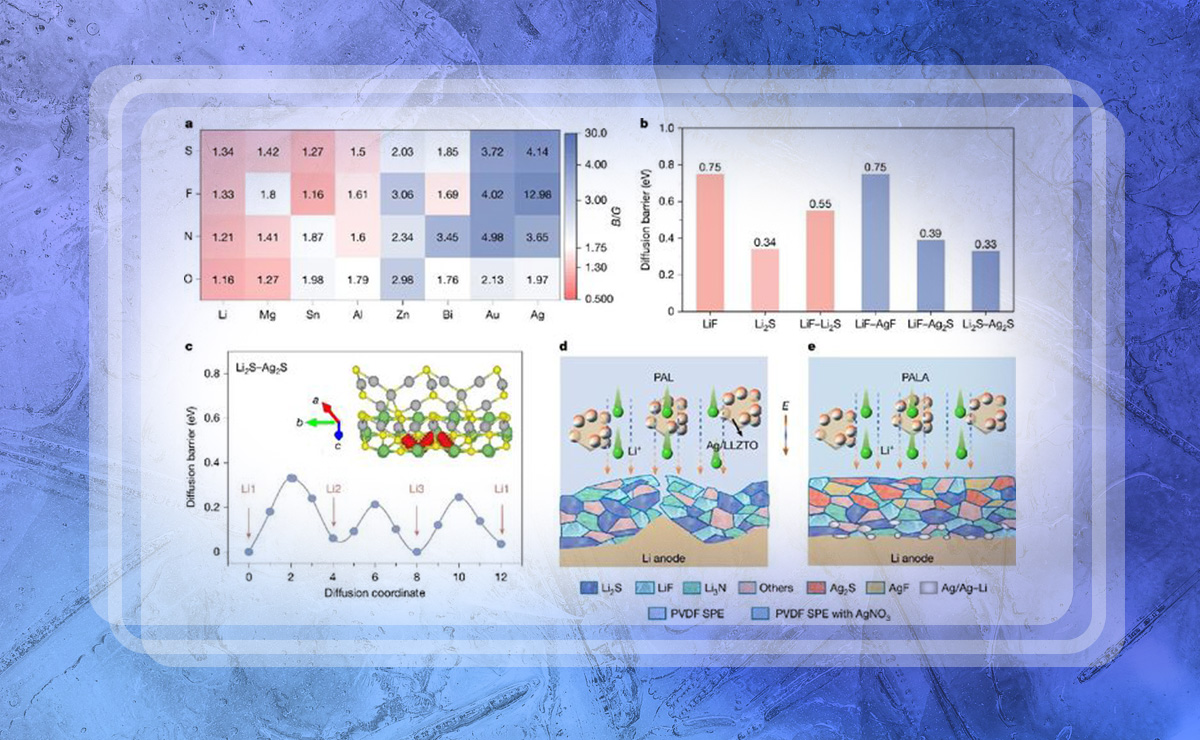 2025新澳门开门原料免费