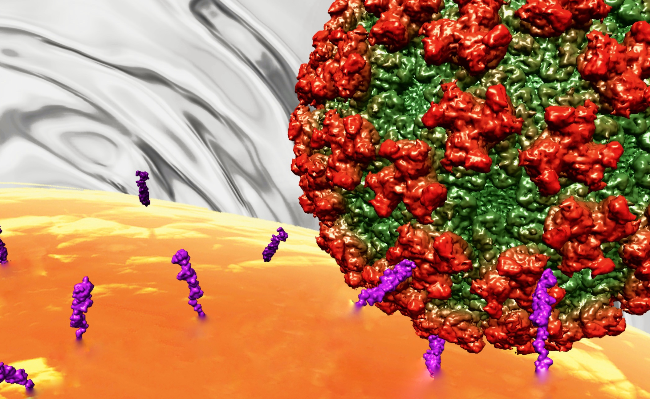2025新澳门开门原料免费