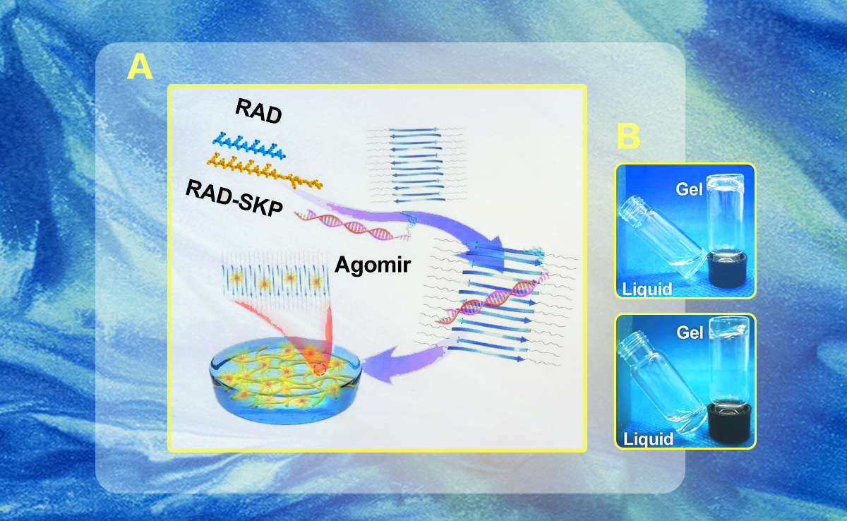 2025新澳门开门原料免费