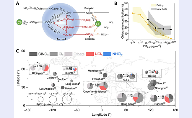 2025新澳门开门原料免费