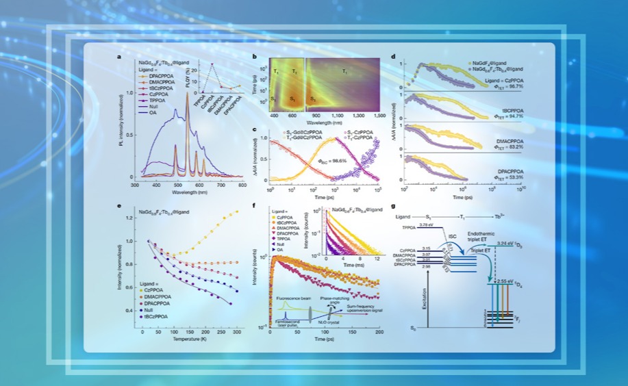 2025新澳门开门原料免费