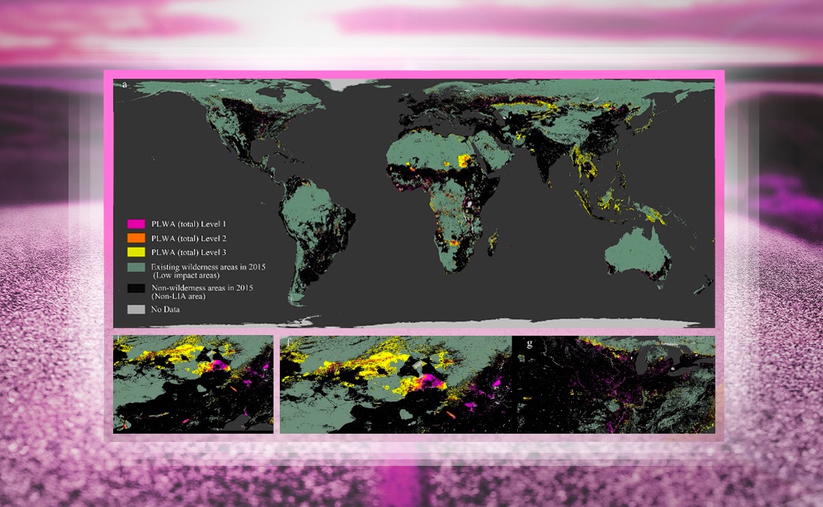 2025新澳门开门原料免费