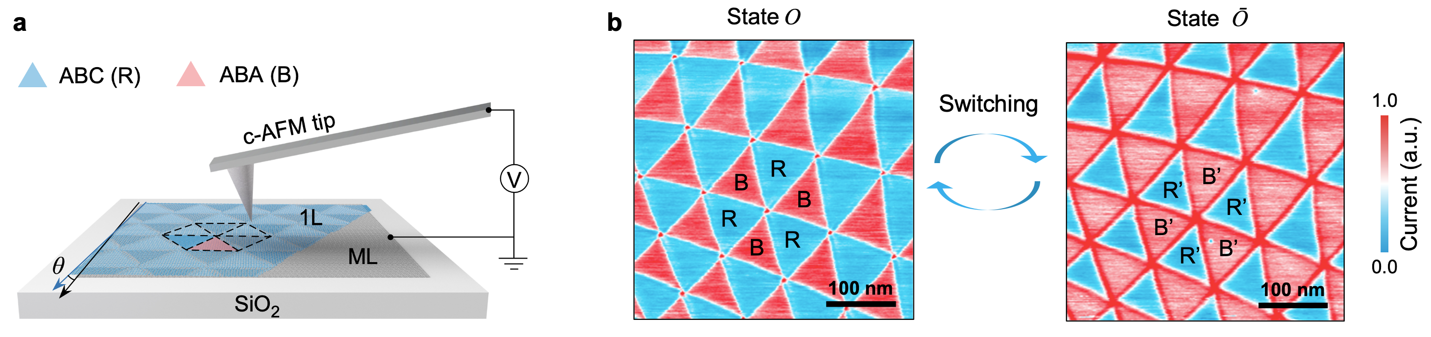 2025新澳门开门原料免费