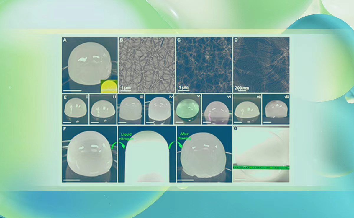 2025新澳门开门原料免费