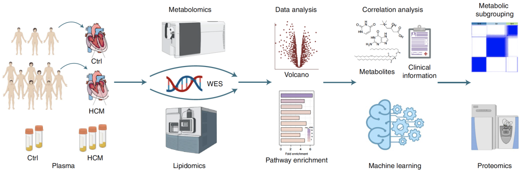 2025新澳门开门原料免费