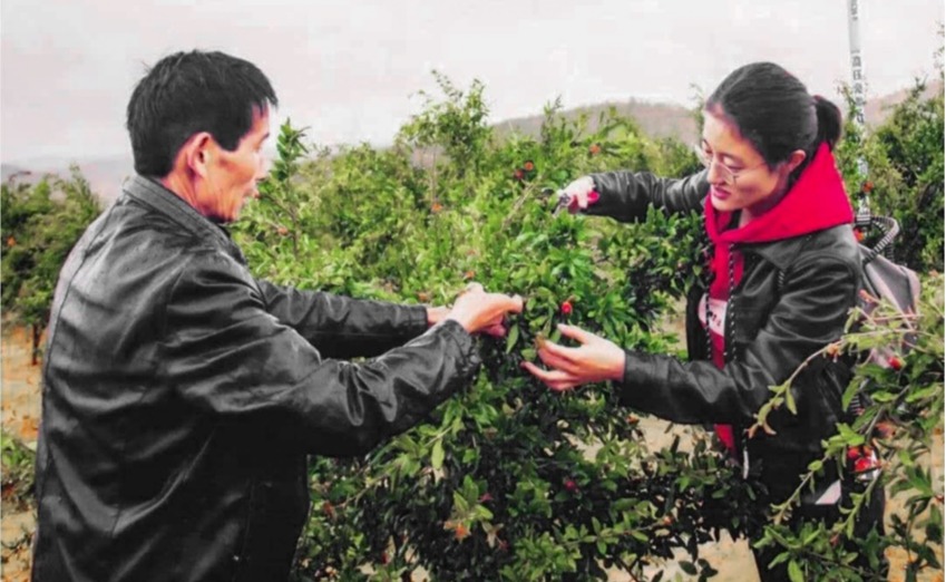 2025新澳门开门原料免费