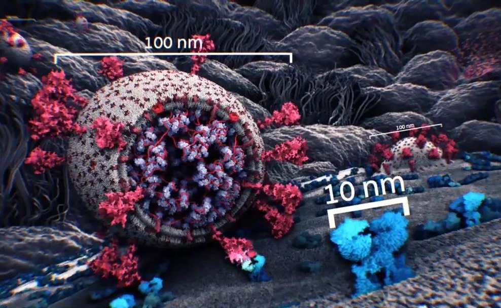 2025新澳门开门原料免费