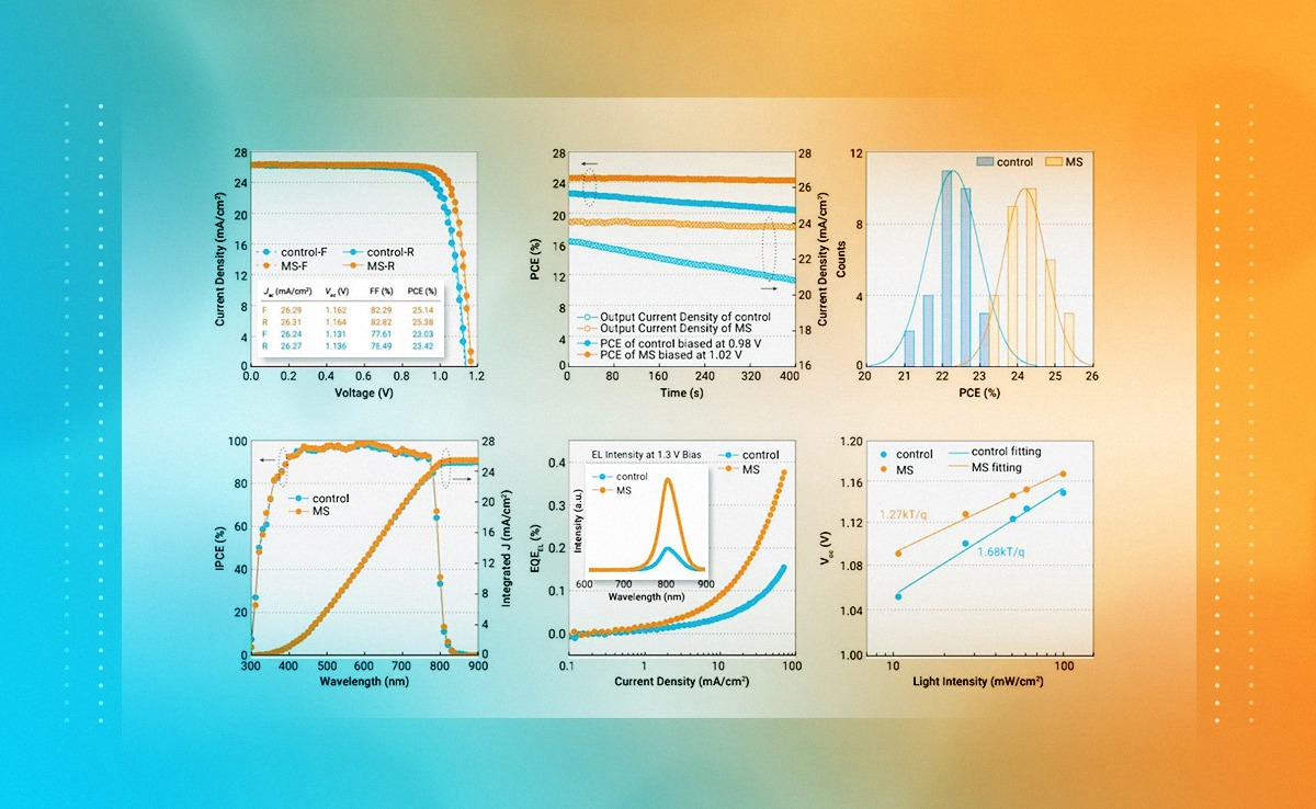2025新澳门开门原料免费