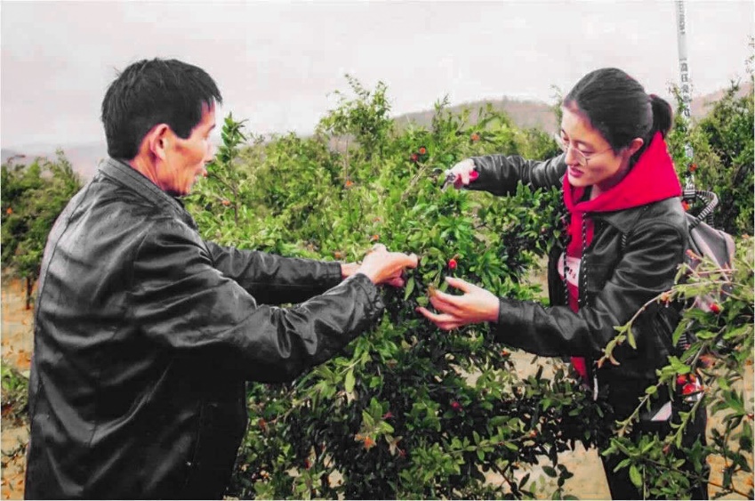 2025新澳门开门原料免费