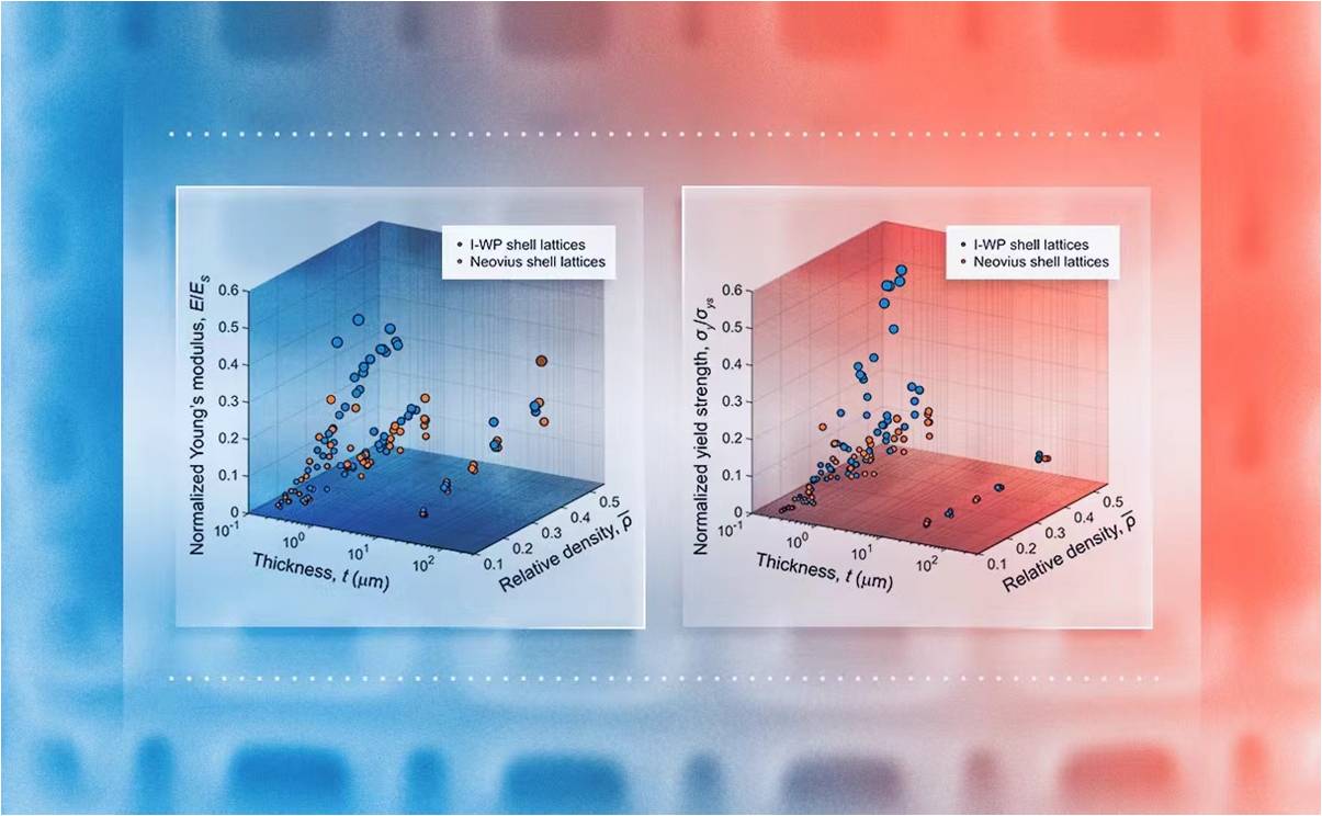2025新澳门开门原料免费