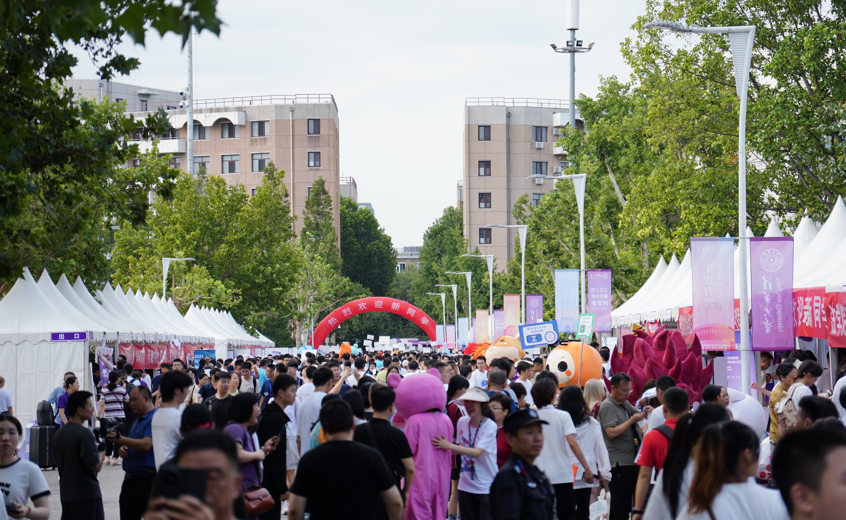 2025新澳门开门原料免费