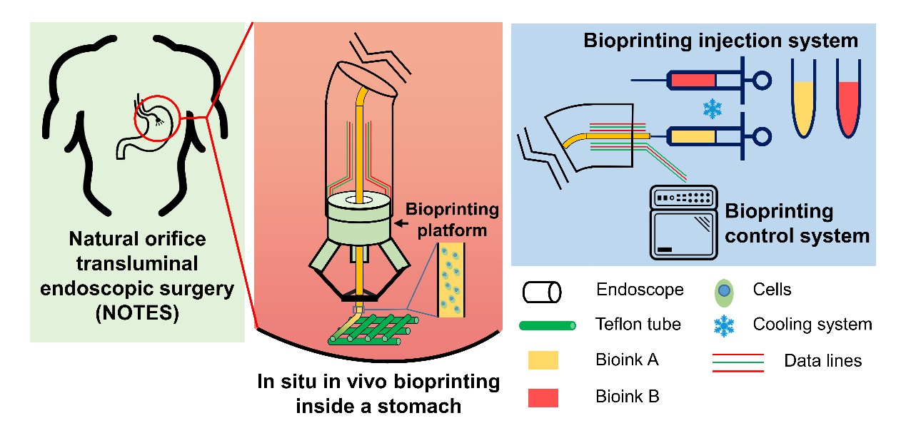 2025新澳门开门原料免费