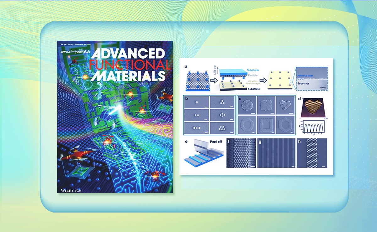 2025新澳门开门原料免费