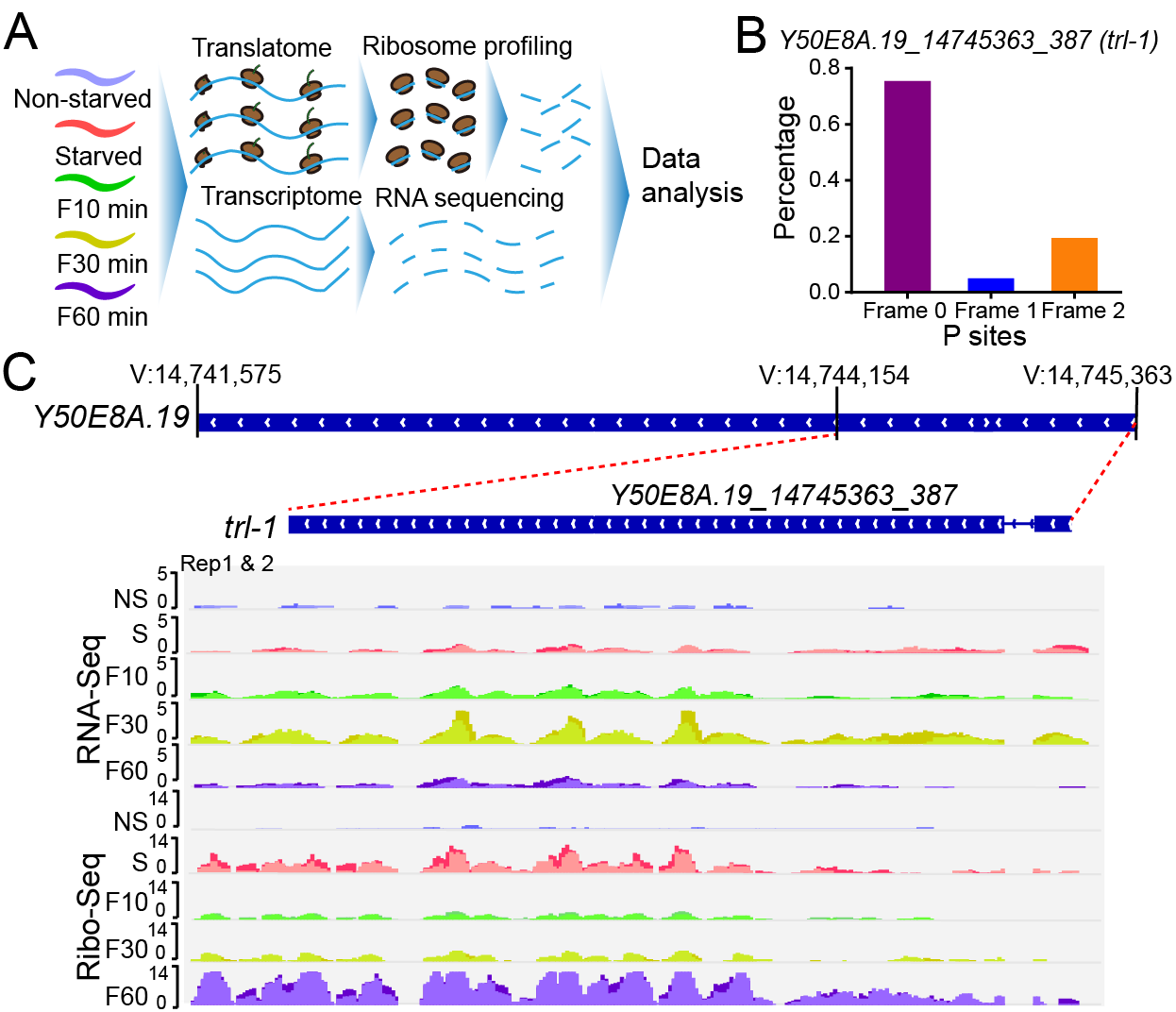 2025新澳门开门原料免费