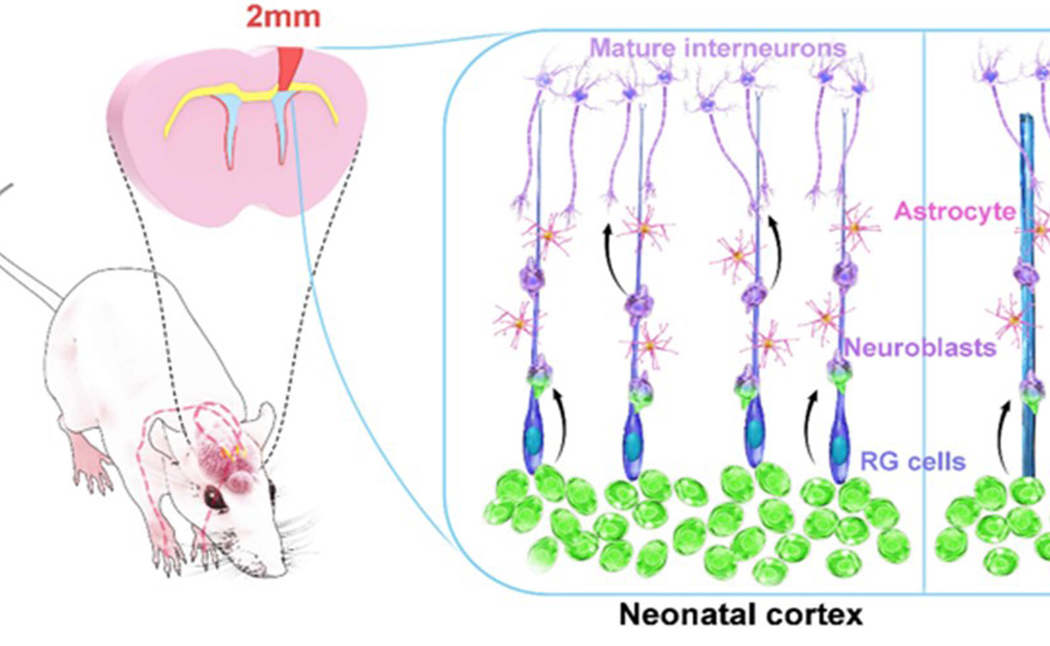 2025新澳门开门原料免费