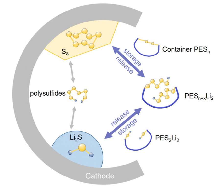2025新澳门开门原料免费