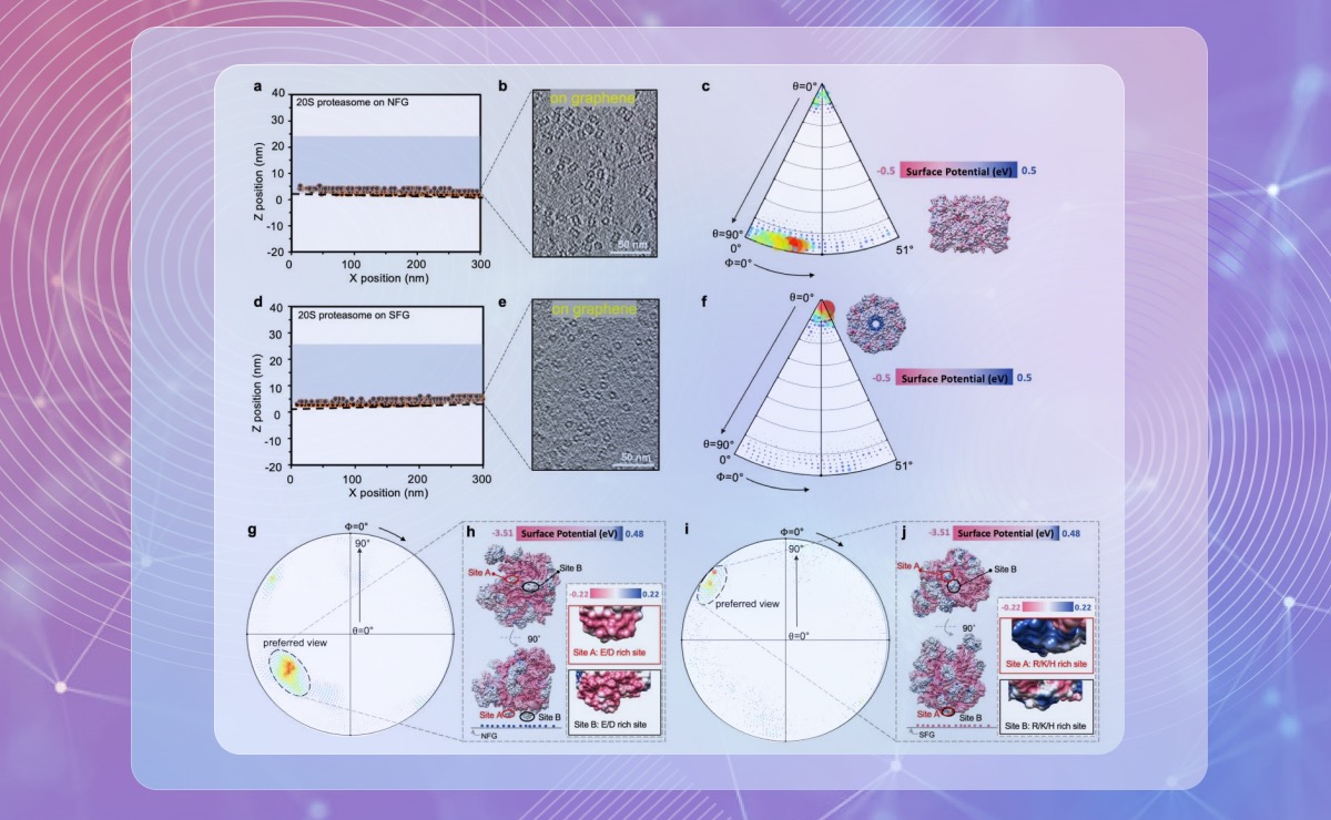 2025新澳门开门原料免费