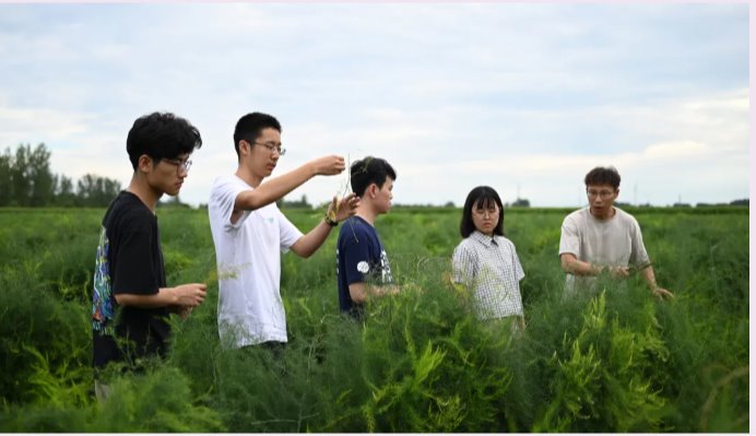 2025新澳门开门原料免费