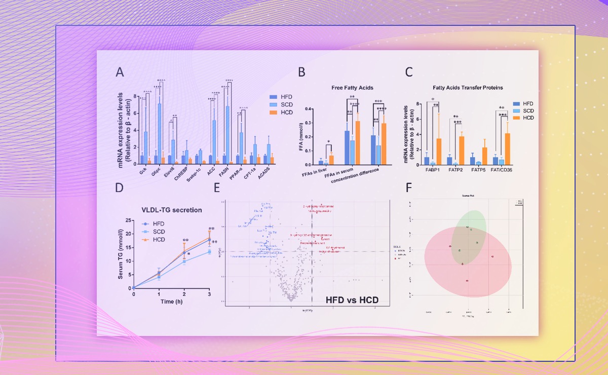 2025新澳门开门原料免费