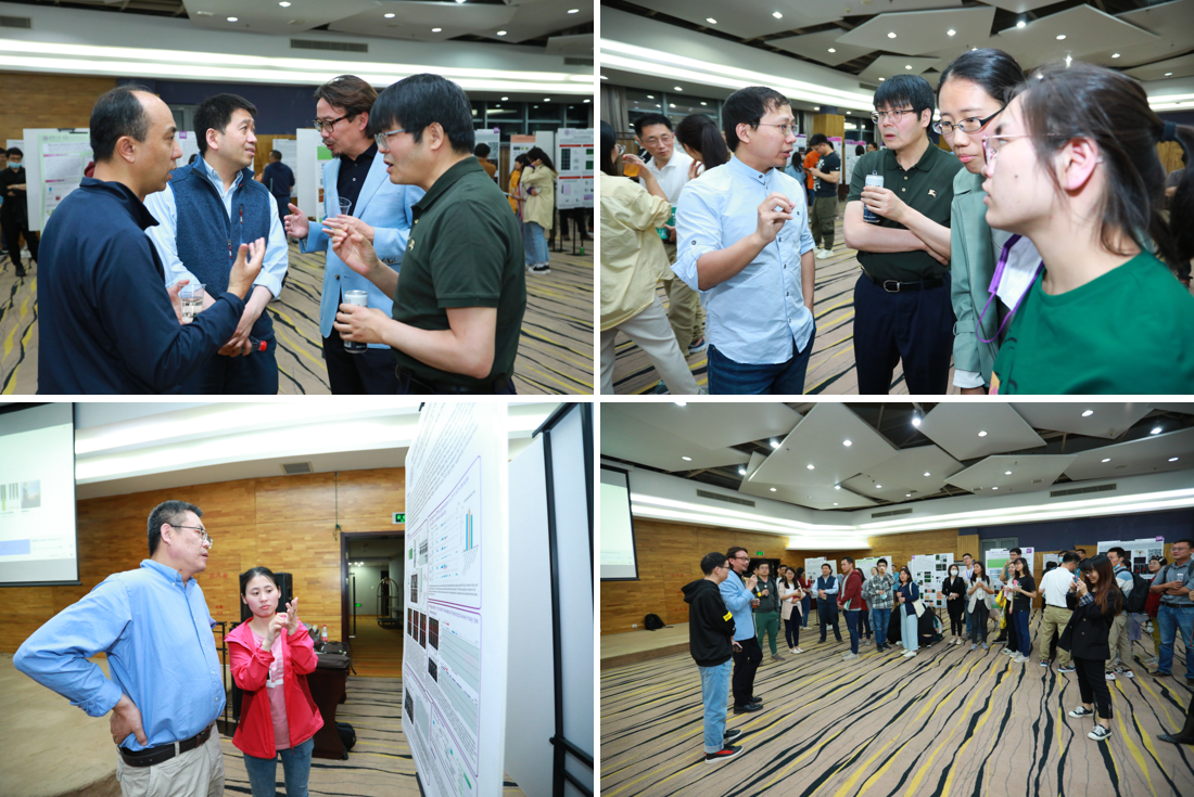 2025新澳门开门原料免费