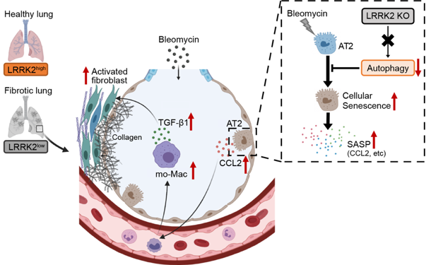 2025新澳门开门原料免费