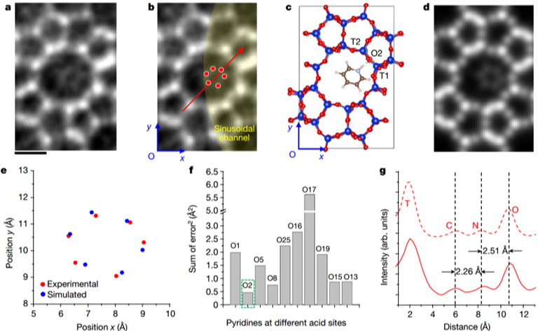 2025新澳门开门原料免费