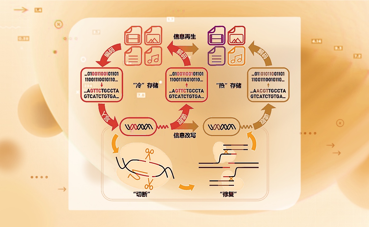 2025新澳门开门原料免费