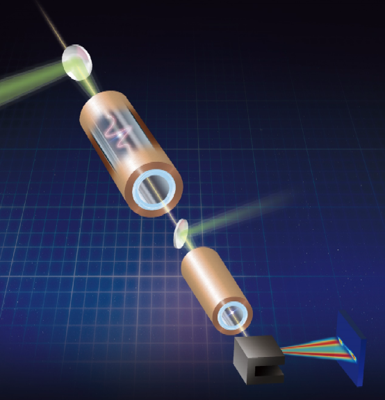 2025新澳门开门原料免费