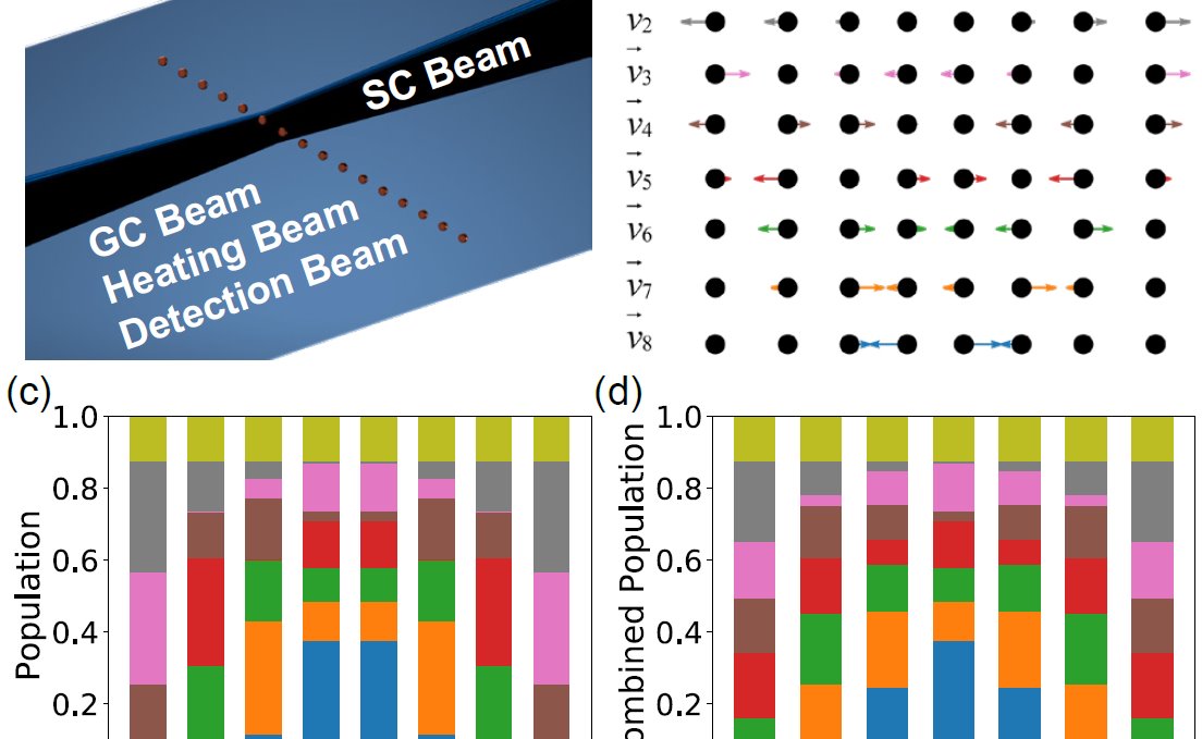 2025新澳门开门原料免费