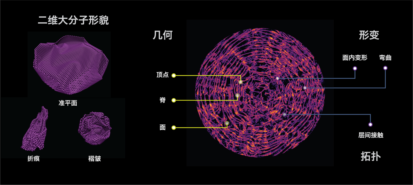 2025新澳门开门原料免费