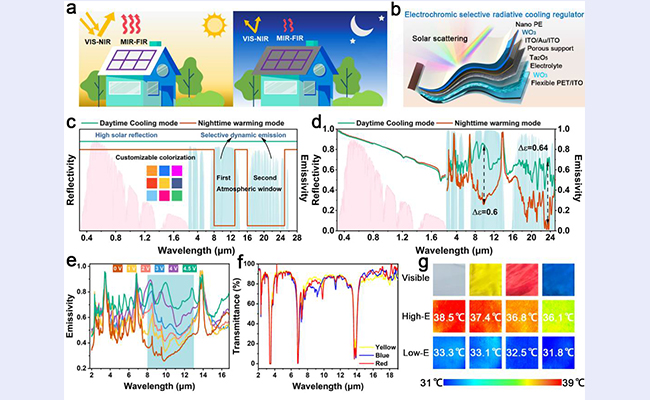 2025新澳门开门原料免费