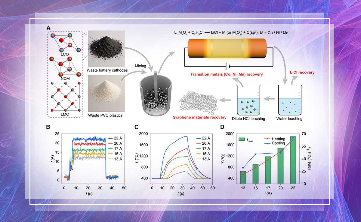 2025新澳门开门原料免费