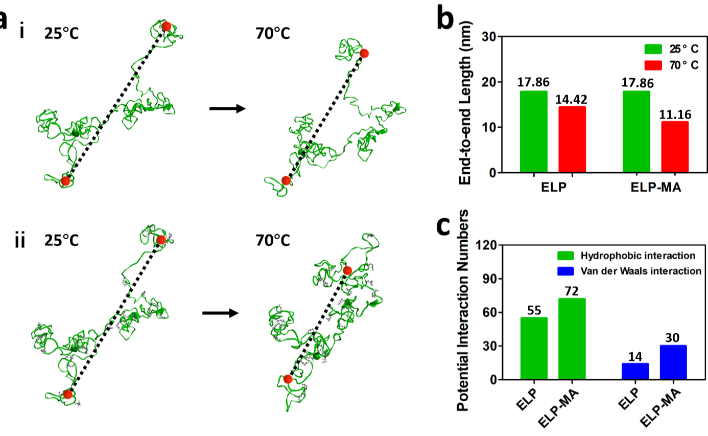 2025新澳门开门原料免费