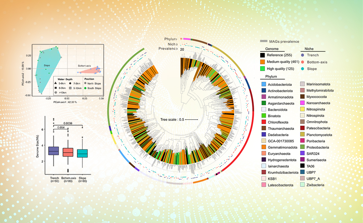 2025新澳门开门原料免费