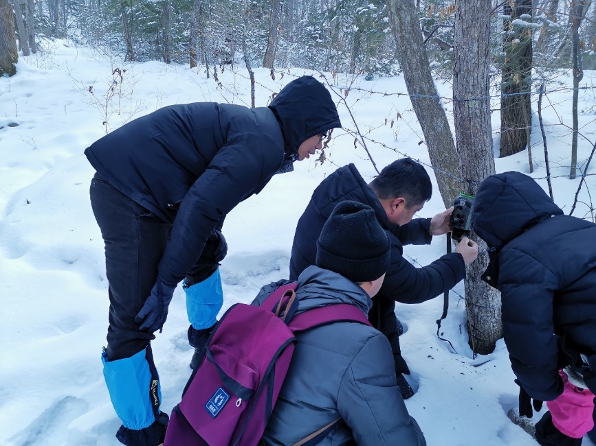 2025新澳门开门原料免费