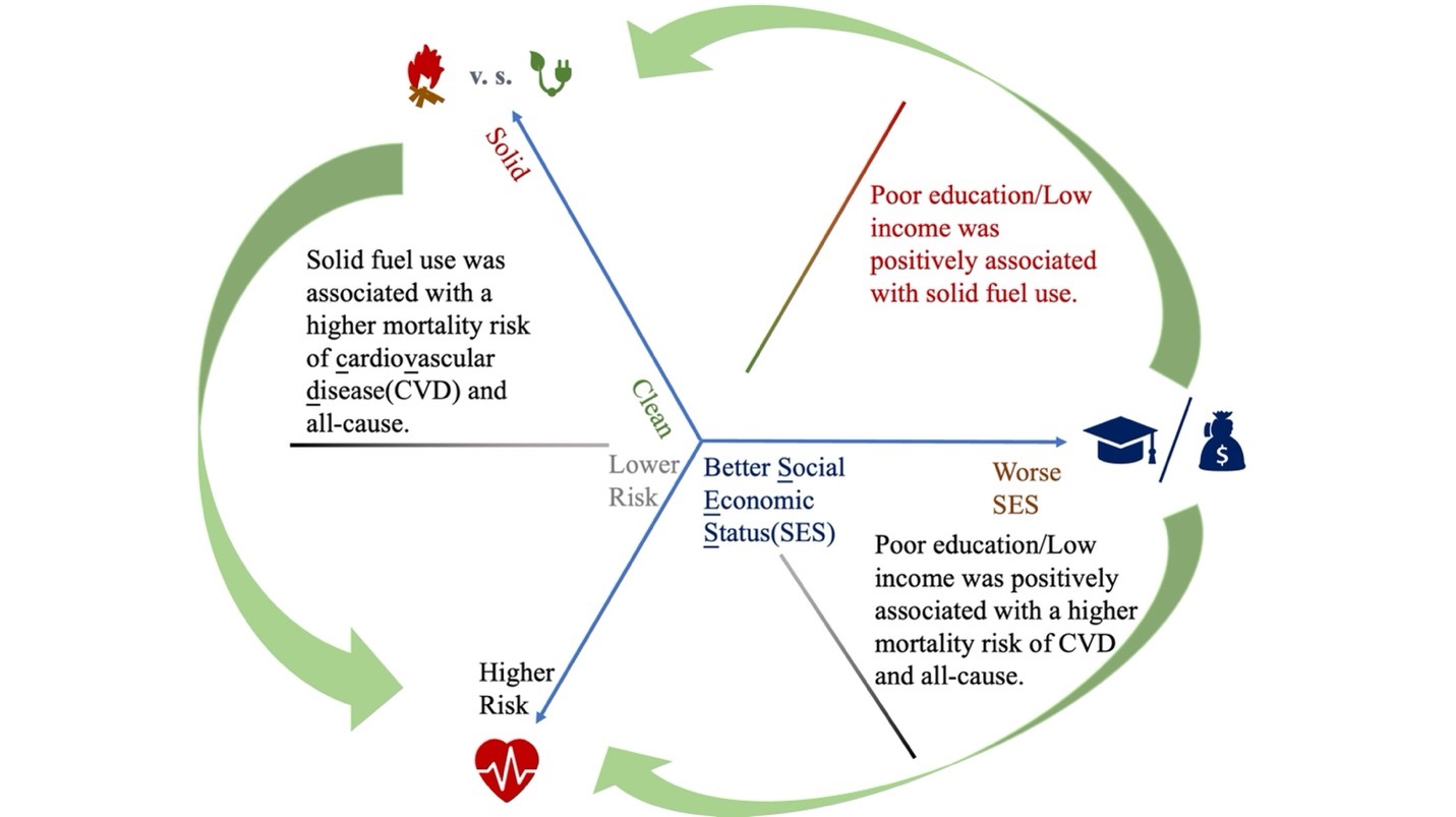 2025新澳门开门原料免费