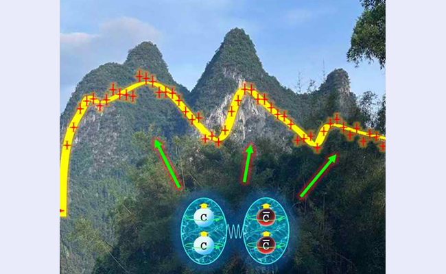 2025新澳门开门原料免费