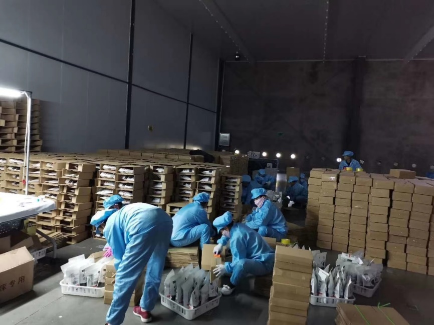 2025新澳门开门原料免费