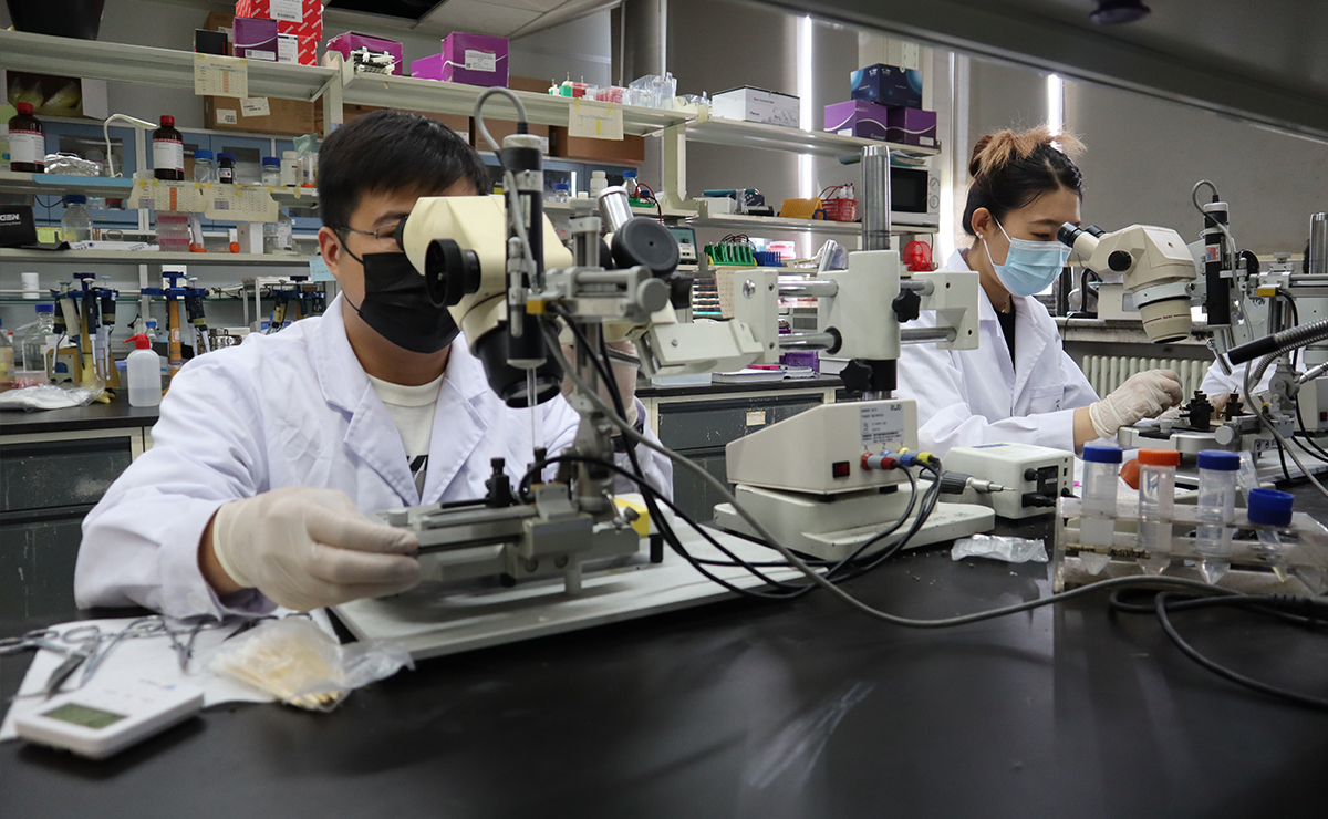 2025新澳门开门原料免费