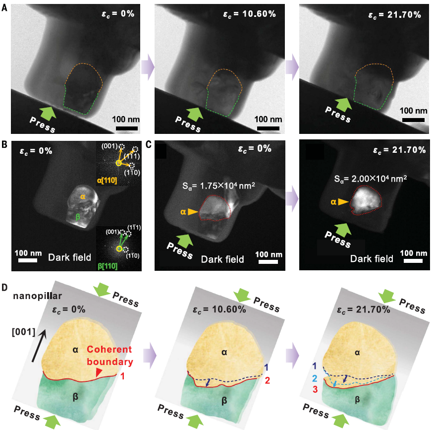 2025新澳门开门原料免费