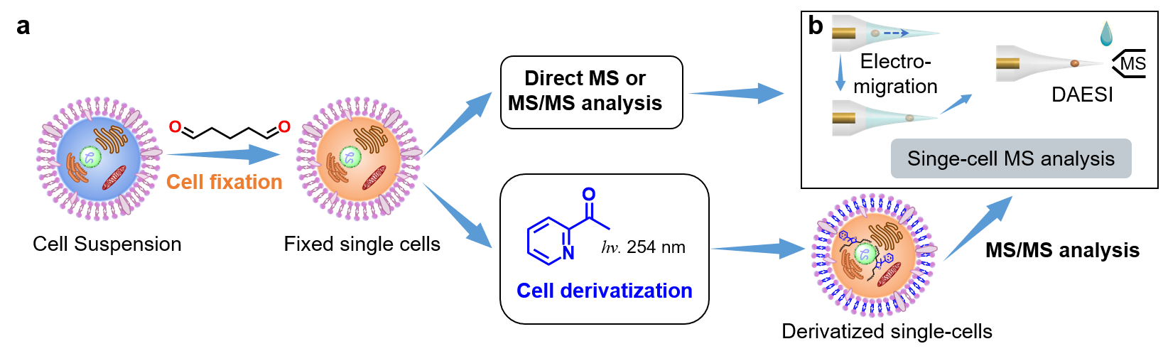 2025新澳门开门原料免费