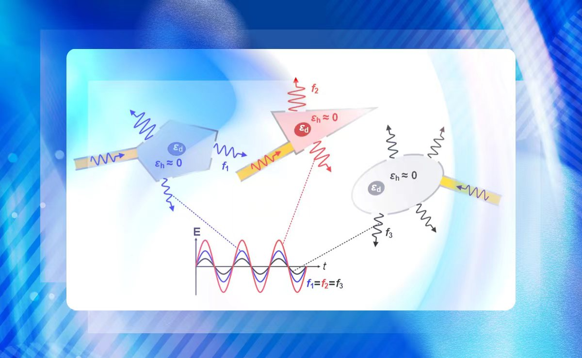 2025新澳门开门原料免费