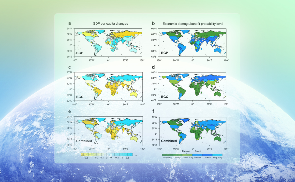 2025新澳门开门原料免费