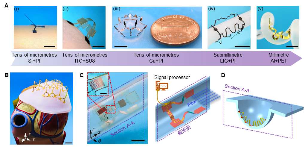 2025新澳门开门原料免费