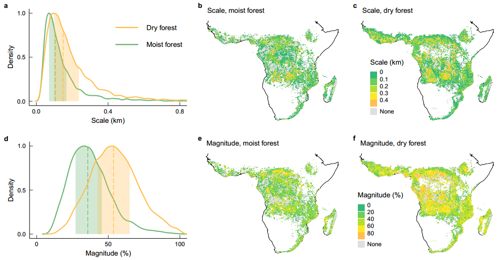 2025新澳门开门原料免费