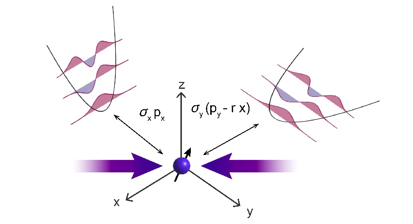 2025新澳门开门原料免费