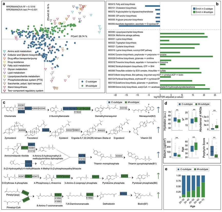 2025新澳门开门原料免费