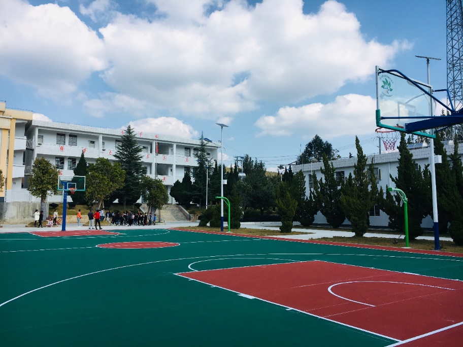 2025新澳门开门原料免费