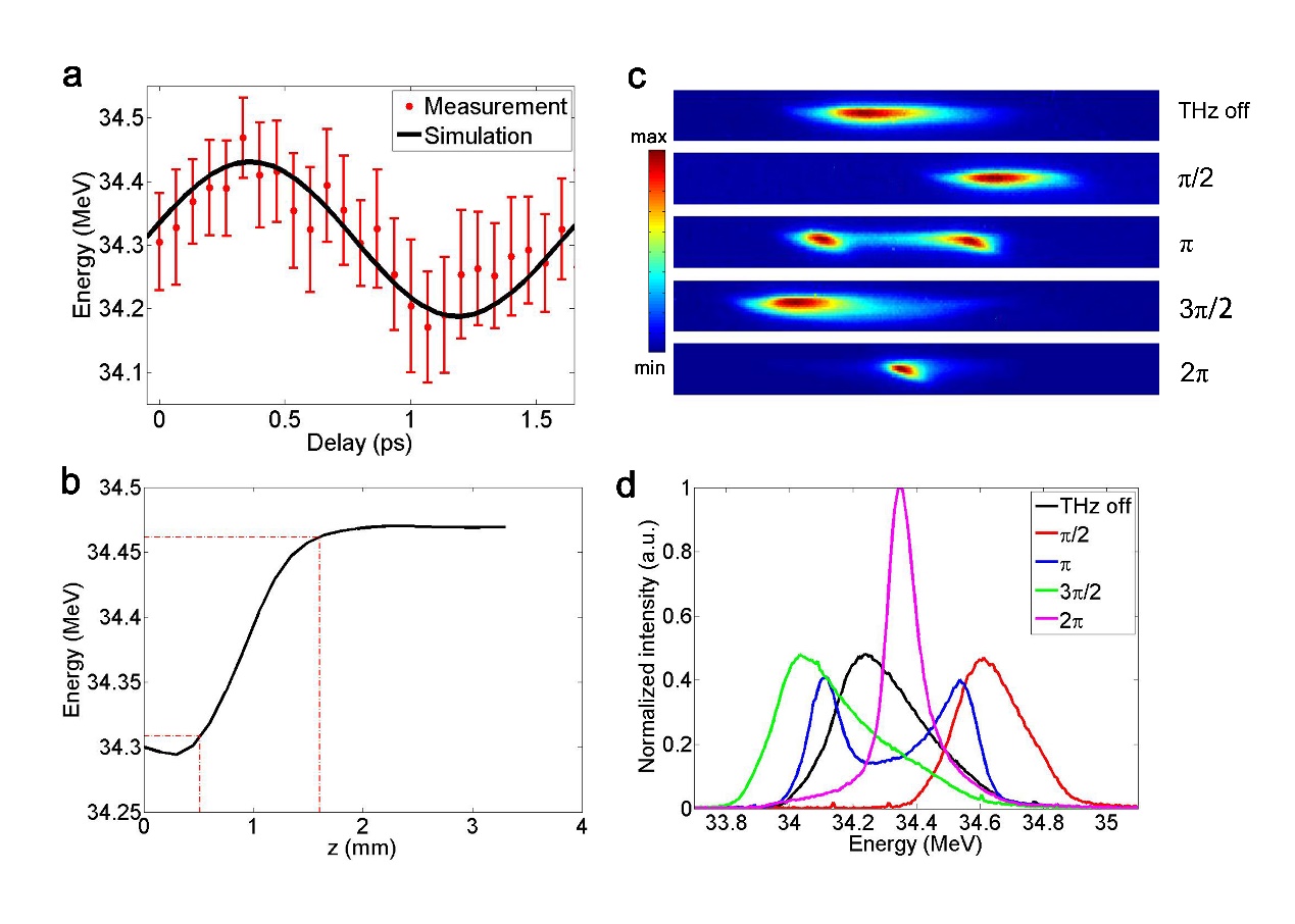 2025新澳门开门原料免费